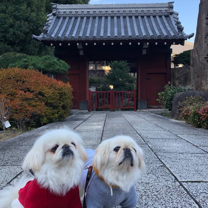 A84c6402 1ad6 4195 a1ee 96f37832bc89 1542774741535