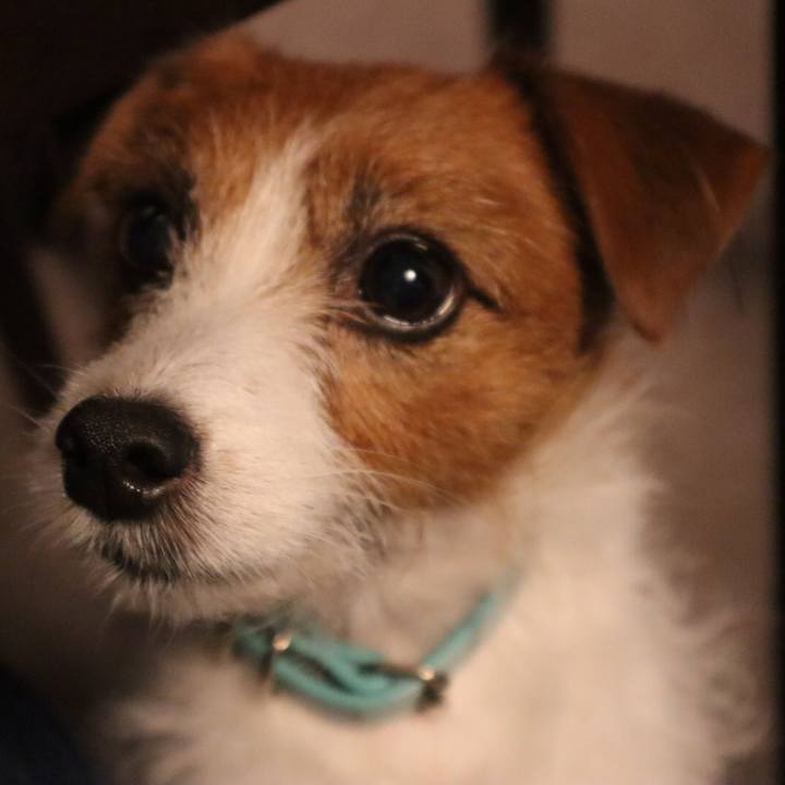 A84c74de 628d 4f56 b196 fc593b09016b 1571483882363