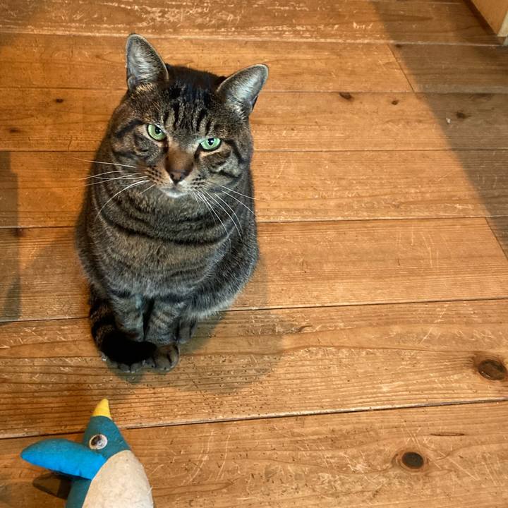 A84c7a67 090c 424c b302 49ca4ac3b774 1671799191983