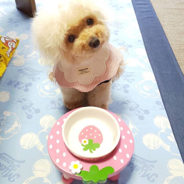 A84c9369 d0cb 4004 8b3f 76861e4f3fb4 1624092968823