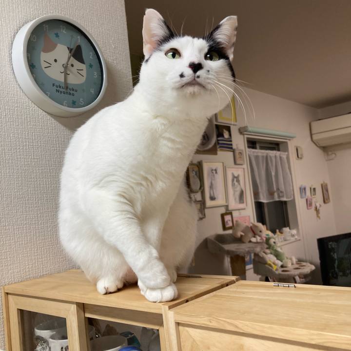 A84cc70c 6af5 4996 b666 1feb94c4f235 1767992720640