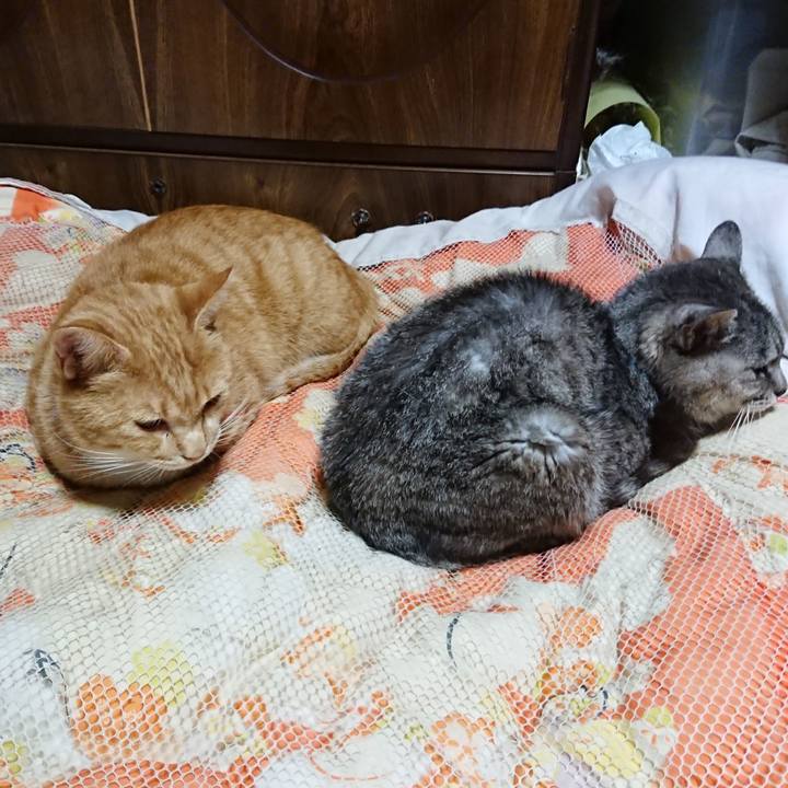 A84cd1fc e370 44a6 8847 228f68ebaea4 1570973724440