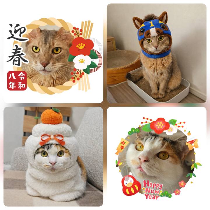 A84cd2b7 dc18 42f1 b0cd 504ac915e927 1767225222213