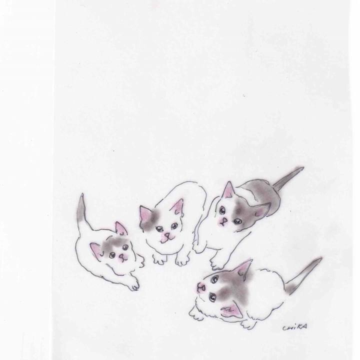 A84d0173 0dbf 4d72 ab09 3d03911250a2 1619453913873