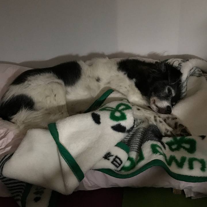 A84d1406 8e73 4d6c 85b1 aa40617619fc 1538230045719