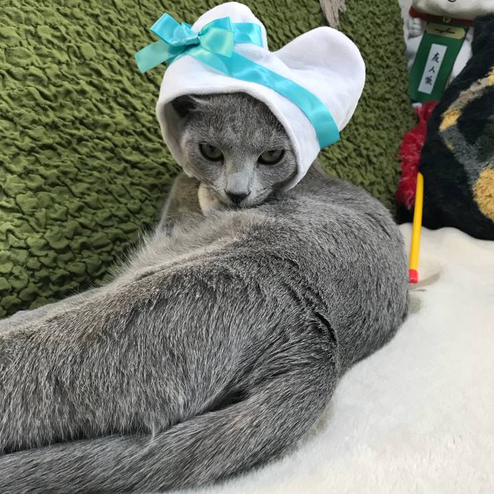 A84d1be8 ec19 445e a08e 9b65ecfbe0d5 1518612091507