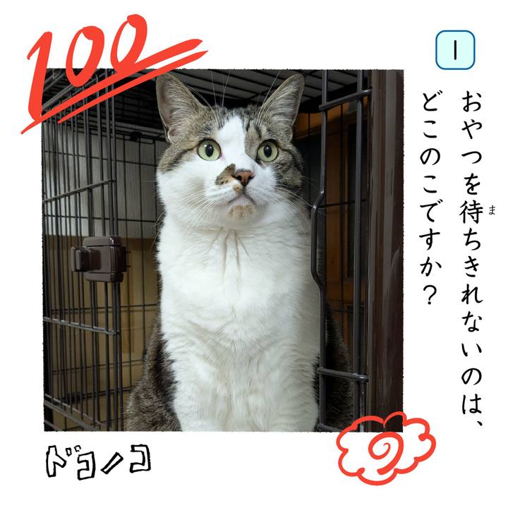 A84d4add 5aa9 461a 8762 b160db050d02 1744255314837