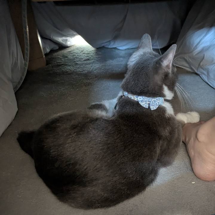 A84d5a68 b4a5 4038 ba15 229fdb195da0 1761796720700