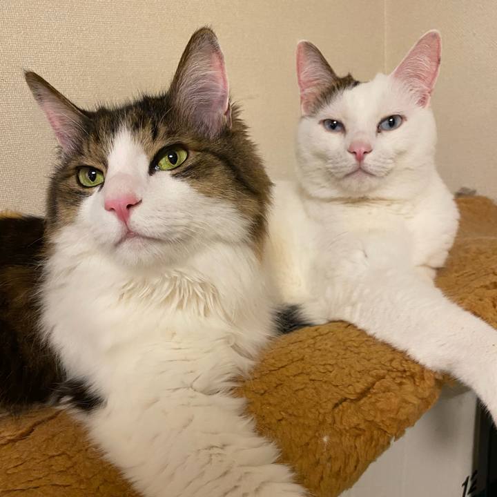 A84d6b03 4507 4bdc a2c0 215cac386240 1736641418613