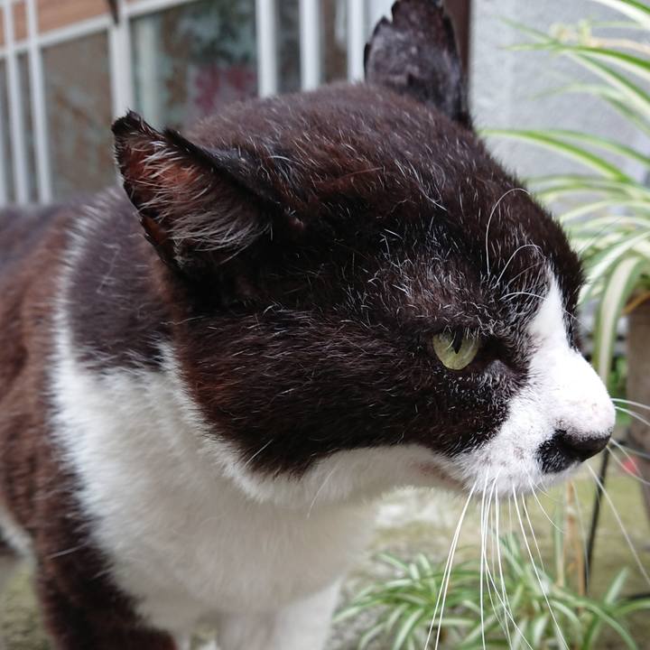 A84dc4e1 3ab0 4bb5 9b79 735ca043c767 1688528662339