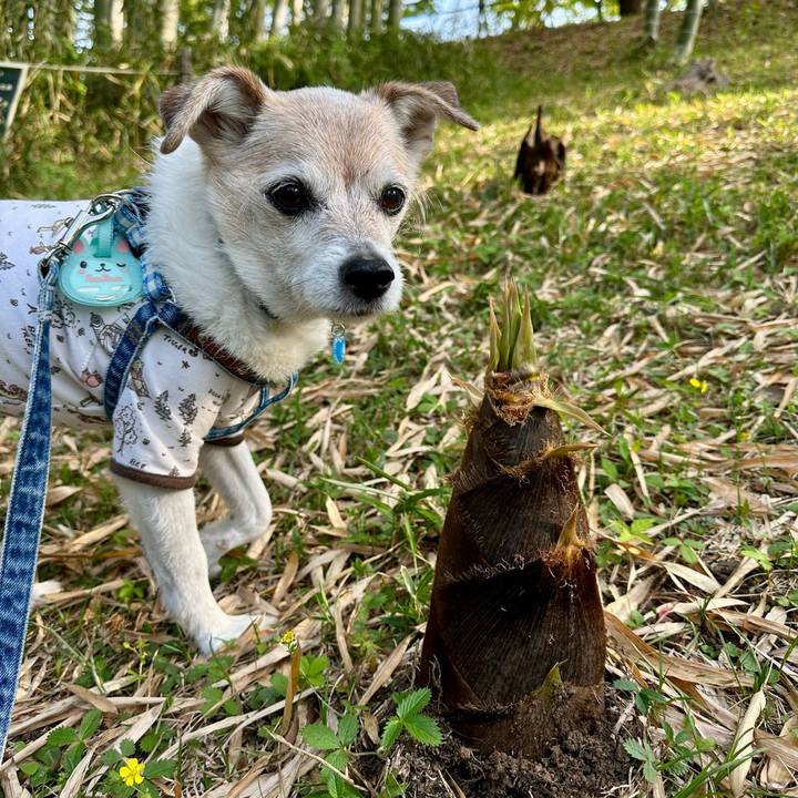 A84de45c a21b 456c aadf e22a437b8bb1 1745232101621