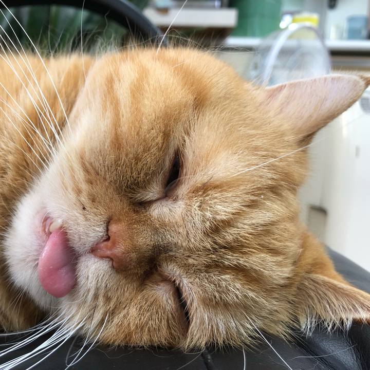 A84eba69 23c5 46b9 8fc6 edbea8d7290b 1564796136242