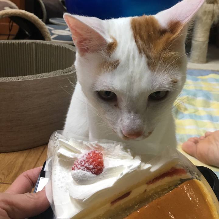 A84ebf05 be8e 408a 9fd9 4eeecc9d8ea6 1525523975863