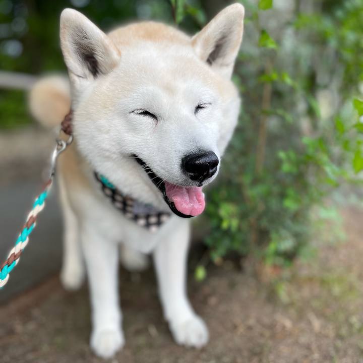 A84f0c88 29ed 475c 9412 da400ec37a4b 1653547823727