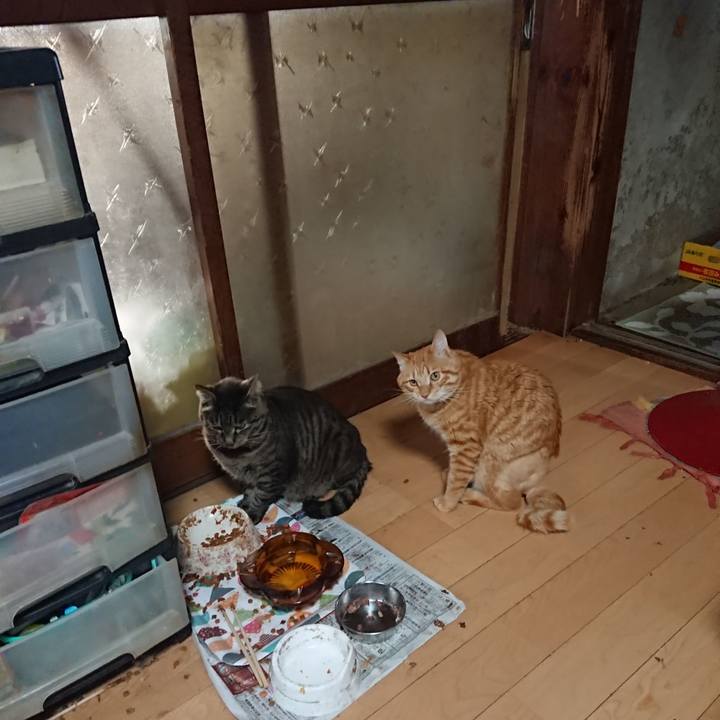 A84f1542 69bc 41f3 8482 0ea511407737 1655330117142