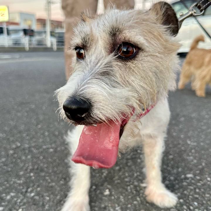 A84f1e78 7bc0 4507 93a5 33d3c49f8ed0 1757257096161