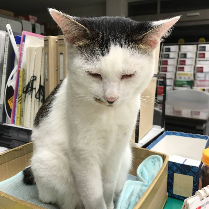 A84f6cca 9c20 4137 9cb8 5ef53f548fdd 1509354316262