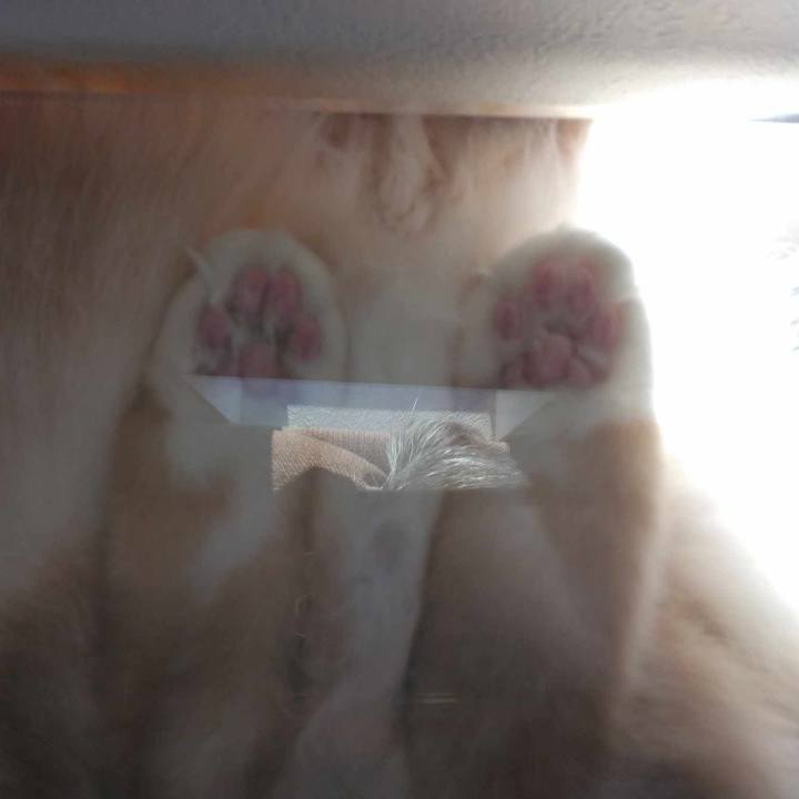 A84f7514 0dac 4ead 8373 074f33d0116b 1698030713656