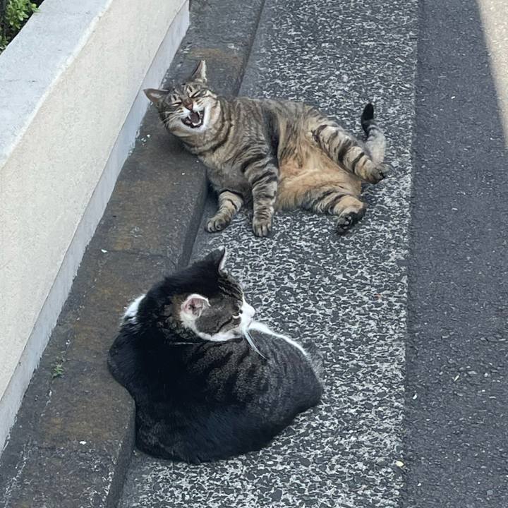 A84f7837 689d 4d09 8010 1ca48305c991 1649580622805