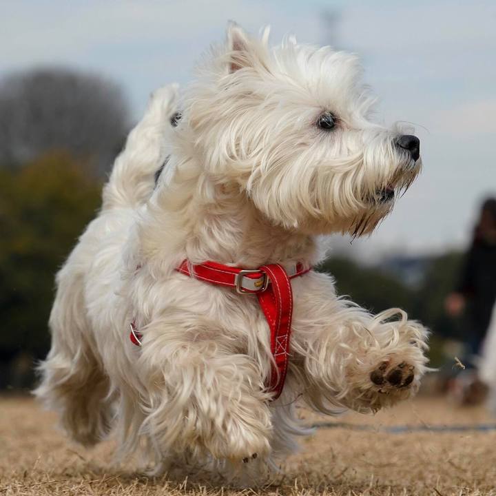 A84f7b24 c6bd 49f8 86b9 5c4fca007892 1518305011369