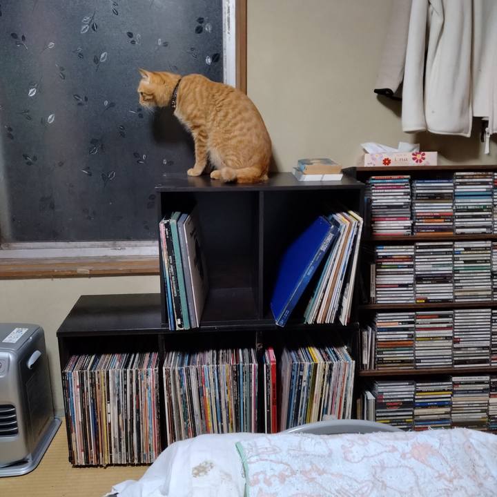 A84f8a89 a668 49bf b260 1ee5b1ca66c9 1667218160190