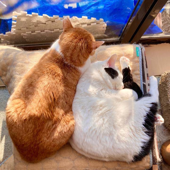 A84f91fe b0e2 45b9 bfef f968125f5f82 1703743013321