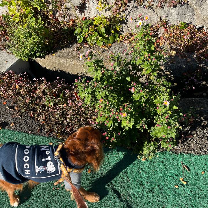 A84f946d 26ec 4d24 8a6d 3ba3250bf2a1 1667694411553