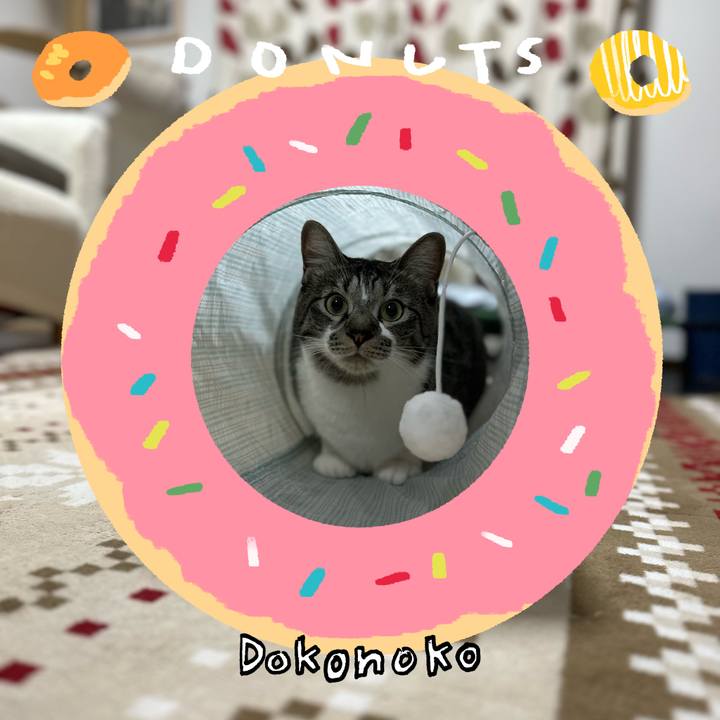 A84faa03 1946 4e78 8d90 e0fe51bbea80 1744596070579