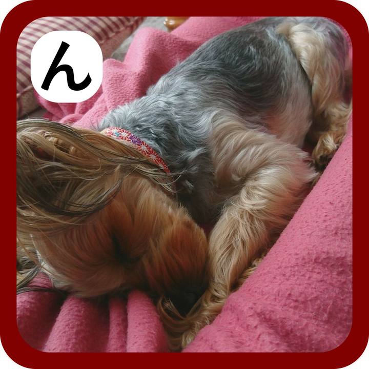 A84fbf1a 8feb 4f95 aaec 89797810e978 1515130652225