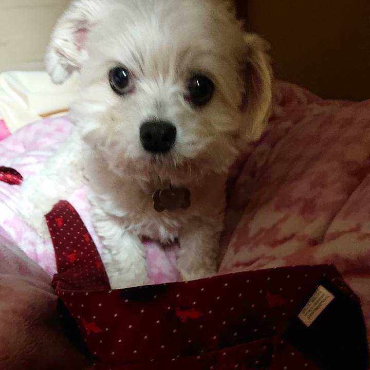 A84fdff5 1829 4038 9d1c 1196e16cbfc0 1554900339972