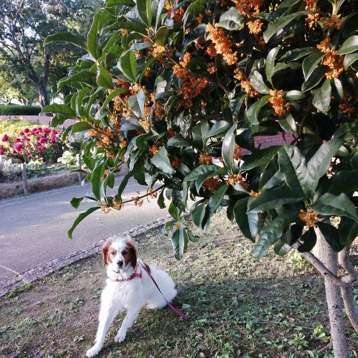 A850072f 5f11 4635 b6ad a65072b83cbd 1602763397585