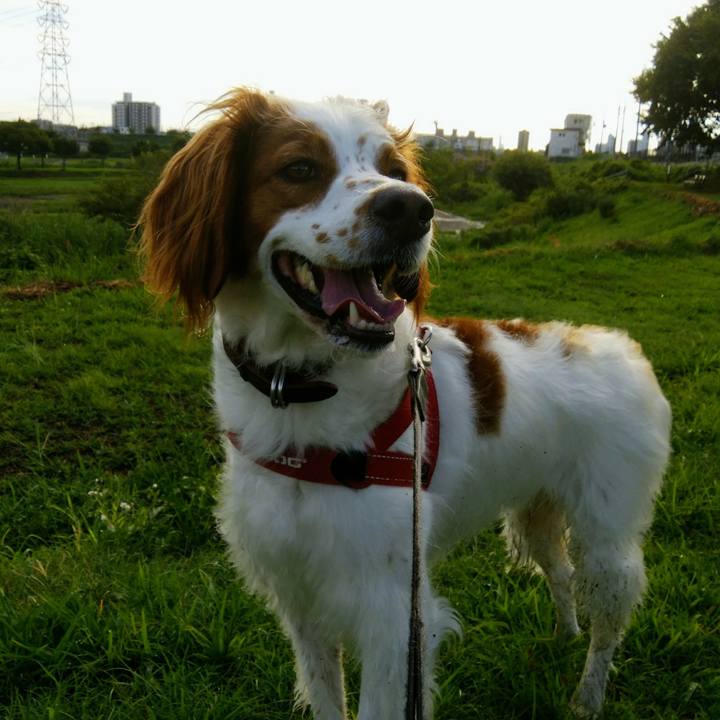 A8502259 6d59 451e a13e 1b76792da478 1534246065359