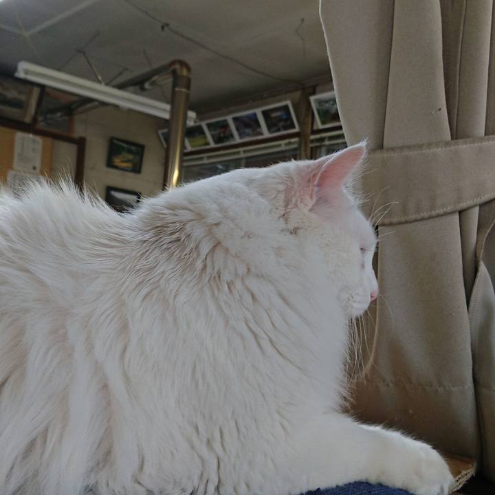 A85039e4 0ab7 4c0f 9788 1aea8755f54f 1530483955677