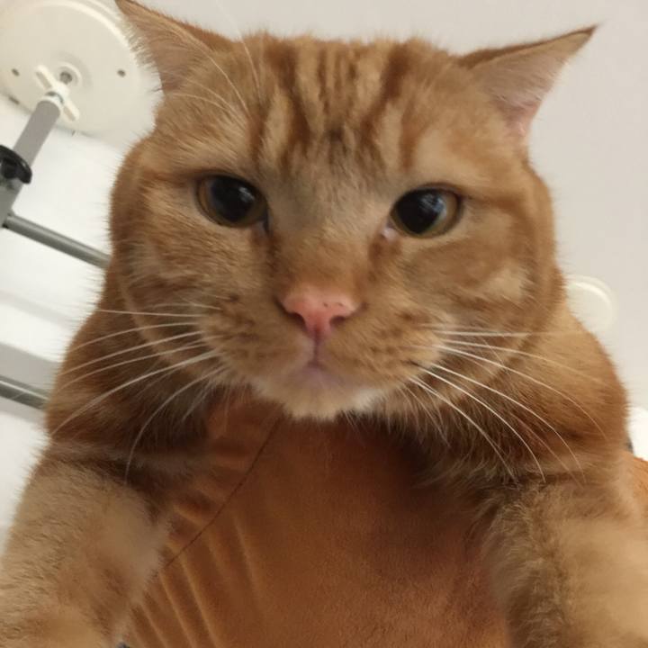 A8505709 92d7 494a 97c9 a7561a3ef5cb 1547951135805