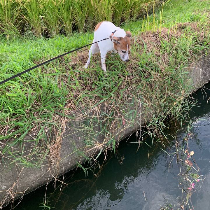 A850c02a 5540 4ecb b375 57faa4b42c27 1600378719574