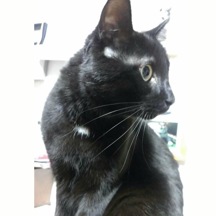 A850d9f8 aced 4fd4 8ba6 d6b5a46f85ec 1512218976983