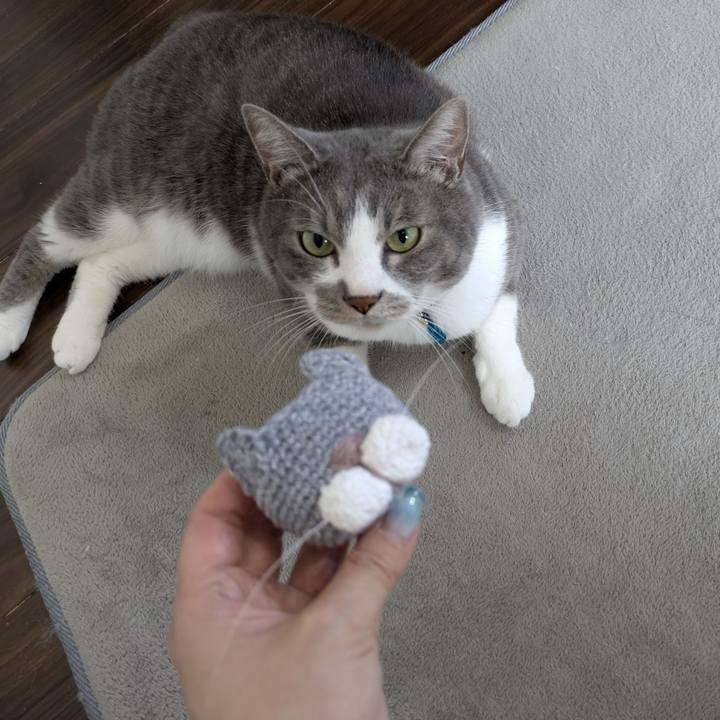 A8511121 fc72 4e1a 9201 c78a1b365a51 1752041784265