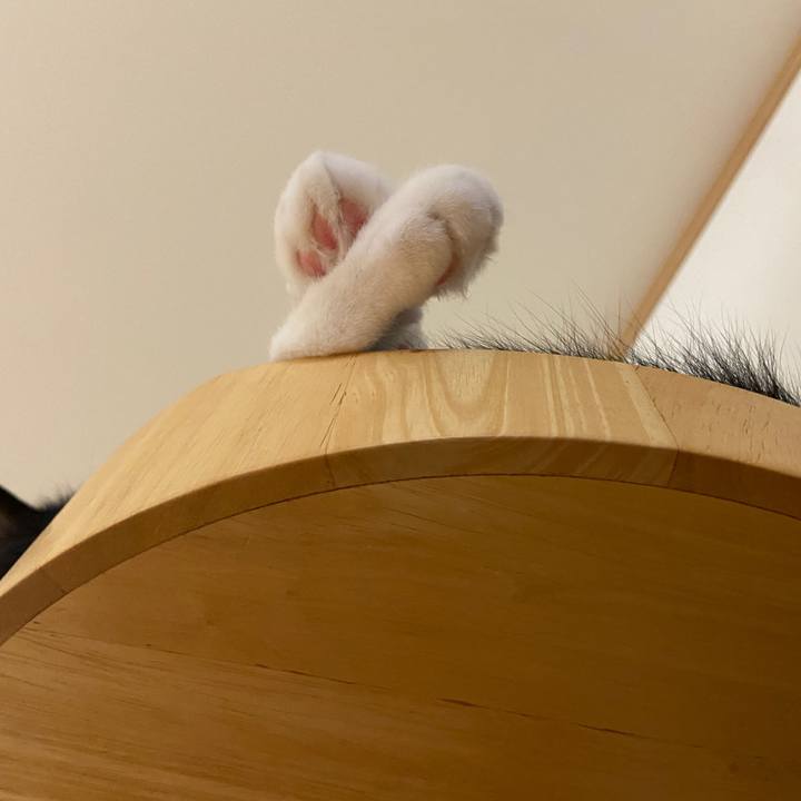 A8511abd 7e69 4377 a192 33843f611ac8 1660524748644