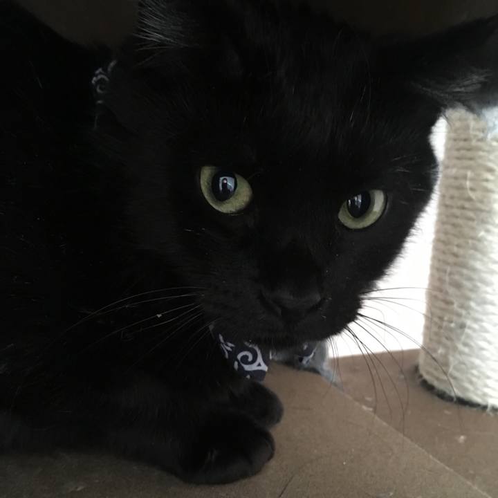 A85134f7 080b 44be 97e1 89e997d98539 1551573061453