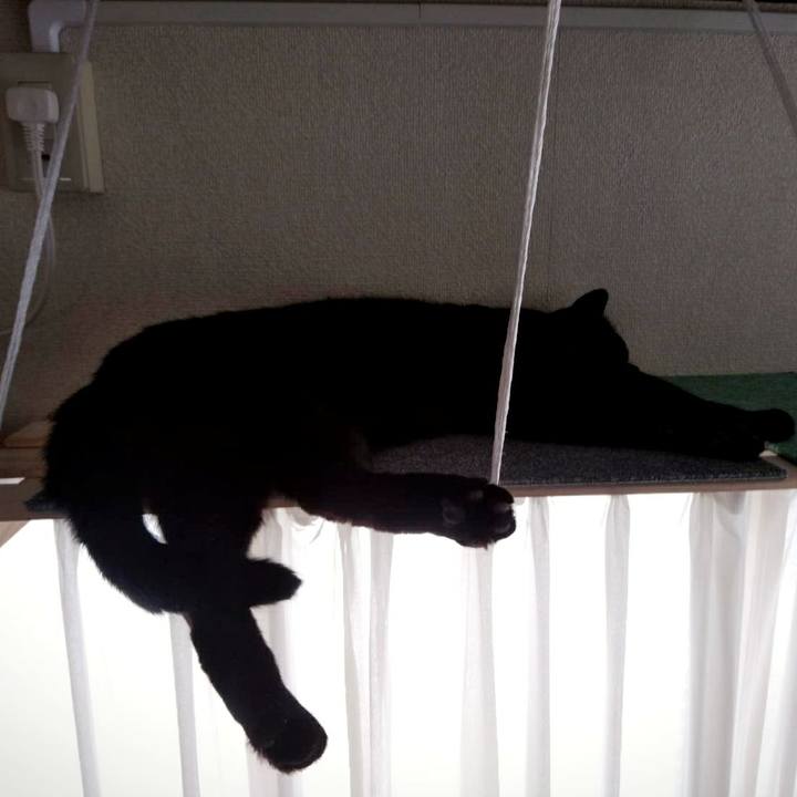 A85154f1 2d2c 4ce4 9ae3 18b84cbe5d05 1550549046371