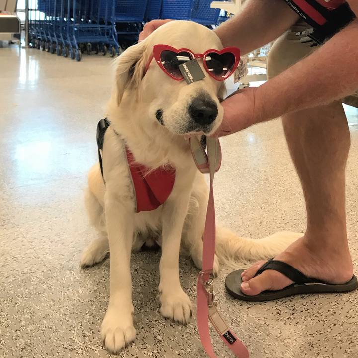 A8516aa8 3b7f 4ec6 98ac 7b9fed854e7f 1536043603718