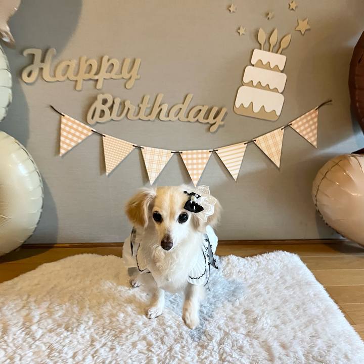 A85175c8 60cd 4195 b22e 51754061704d 1717753538261