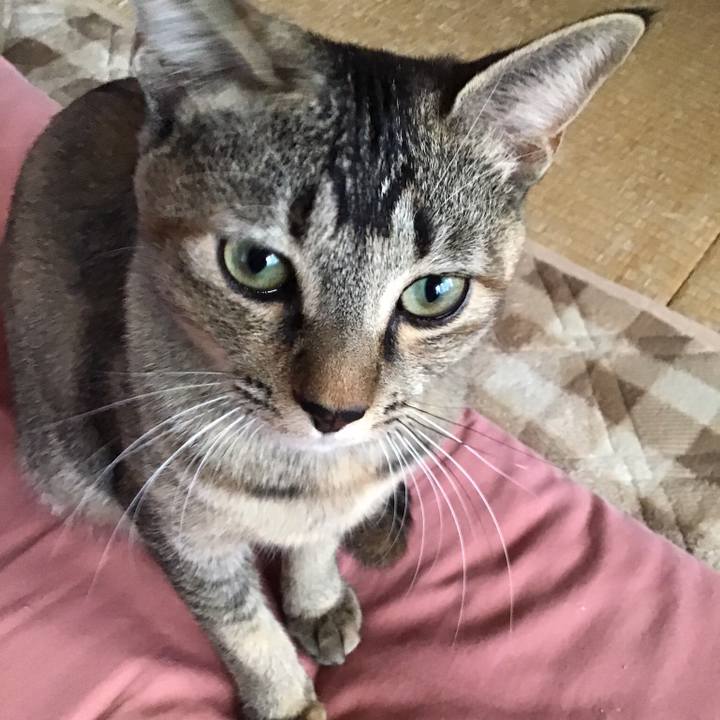 A8519304 2465 4e98 81af d505fdd1ad36 1669033032992