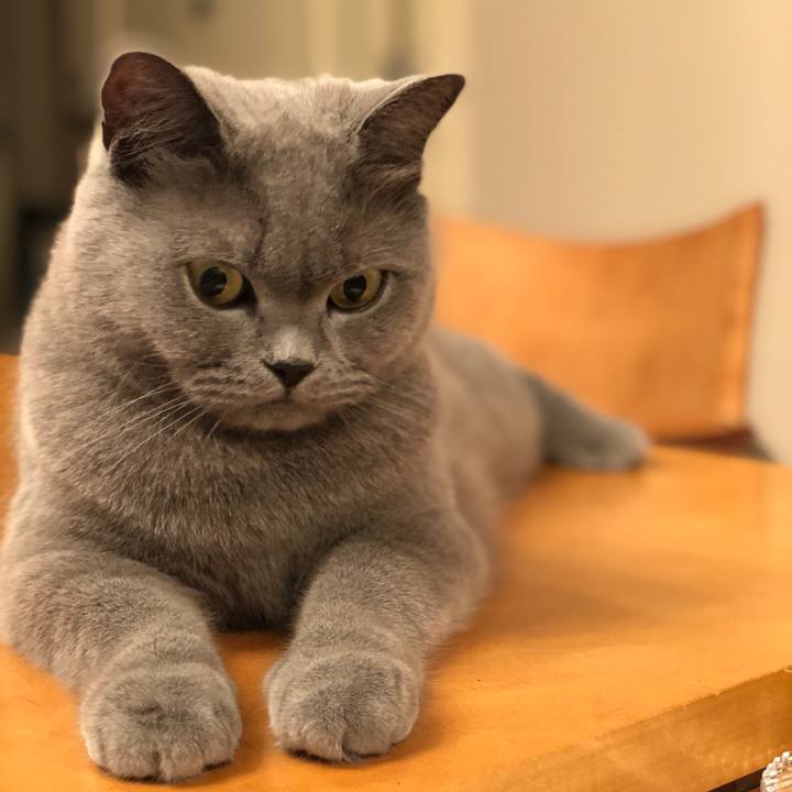 A851a380 3f6a 4085 90fa 830d2cd053cc 1536321249899