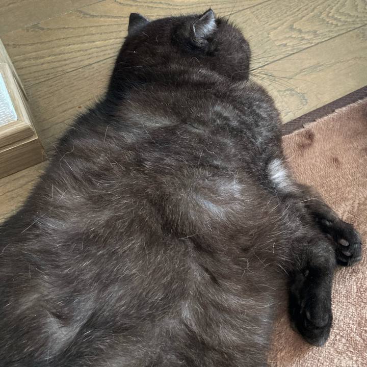 A851da5c 58d8 49b2 a3d0 7c13efe565c2 1590299715822