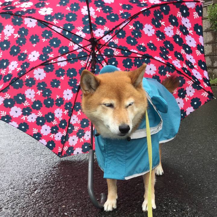 A85274eb f645 424f 98c2 ff5e295e86b7 1562907005313