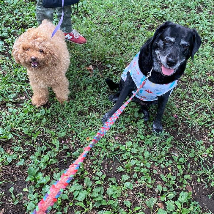 A8527544 0221 4de3 9ff8 6efc61ed10d9 1663660605444