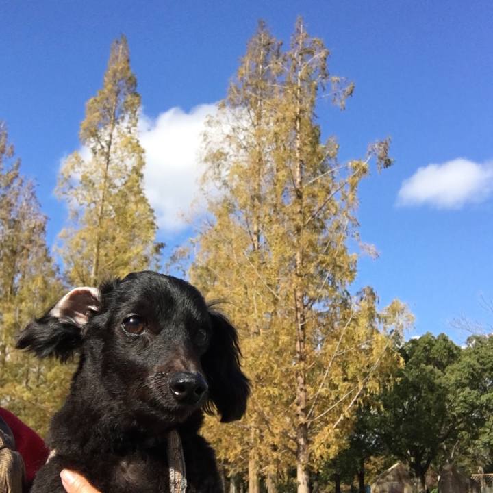 A852d90e 4a20 4b37 ac7f 780aa003a045 1573423678061