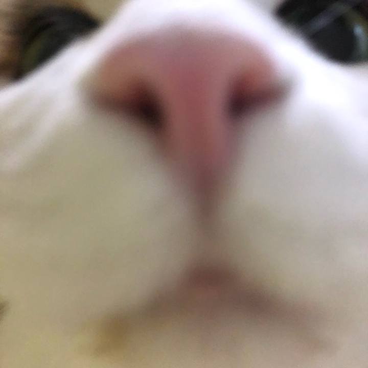 A852e513 c4ea 4fe7 a5e1 7605293482b7 1602288055043