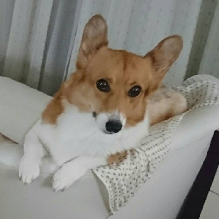 A852ebeb bf40 486d a808 1ec565fec57b 1535031277757